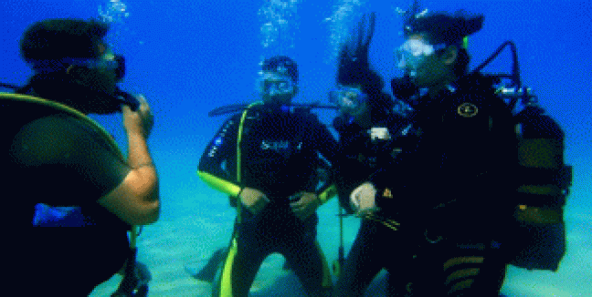 39,90€ από 70€ για μία κατάδυση γνωριμίας Scuba Diving με αυτόνομη συσκευή κατάδυσης σε ολιγομελή τμήματα & υπέροχη υποβρύχια φωτογράφηση με την Σχολή Κατάδυσης Dive Blue Dream στα Λιμανάκια Βάρκιζας.